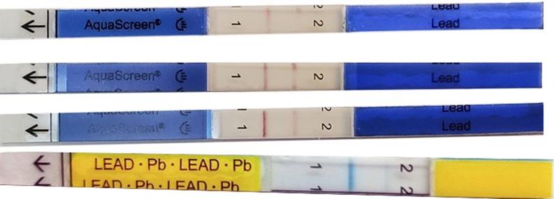 Lead Negative & Pesticide Inconcusive